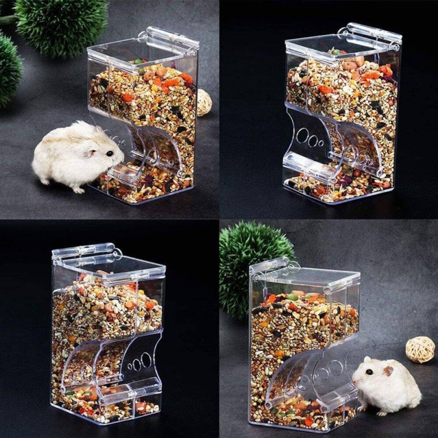 DtopbuyAge - Distributeur Nourriture Automatique - Petits Animaux DtopbuyAge - Image 5