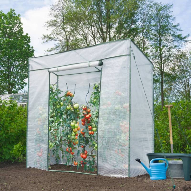 Serre à tomates 198 x 78 x 200 cm - Image 3