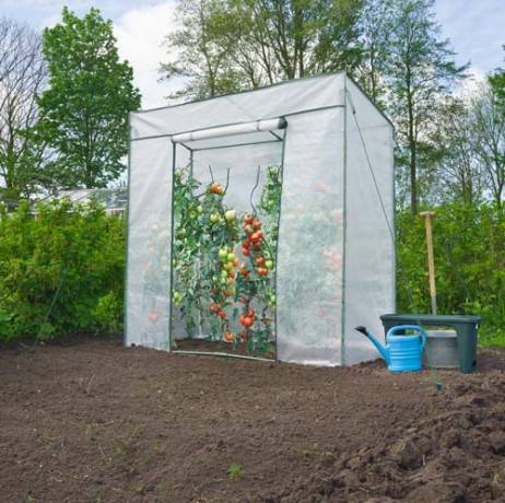 Serre à tomates 198 x 78 x 200 cm - Image 1