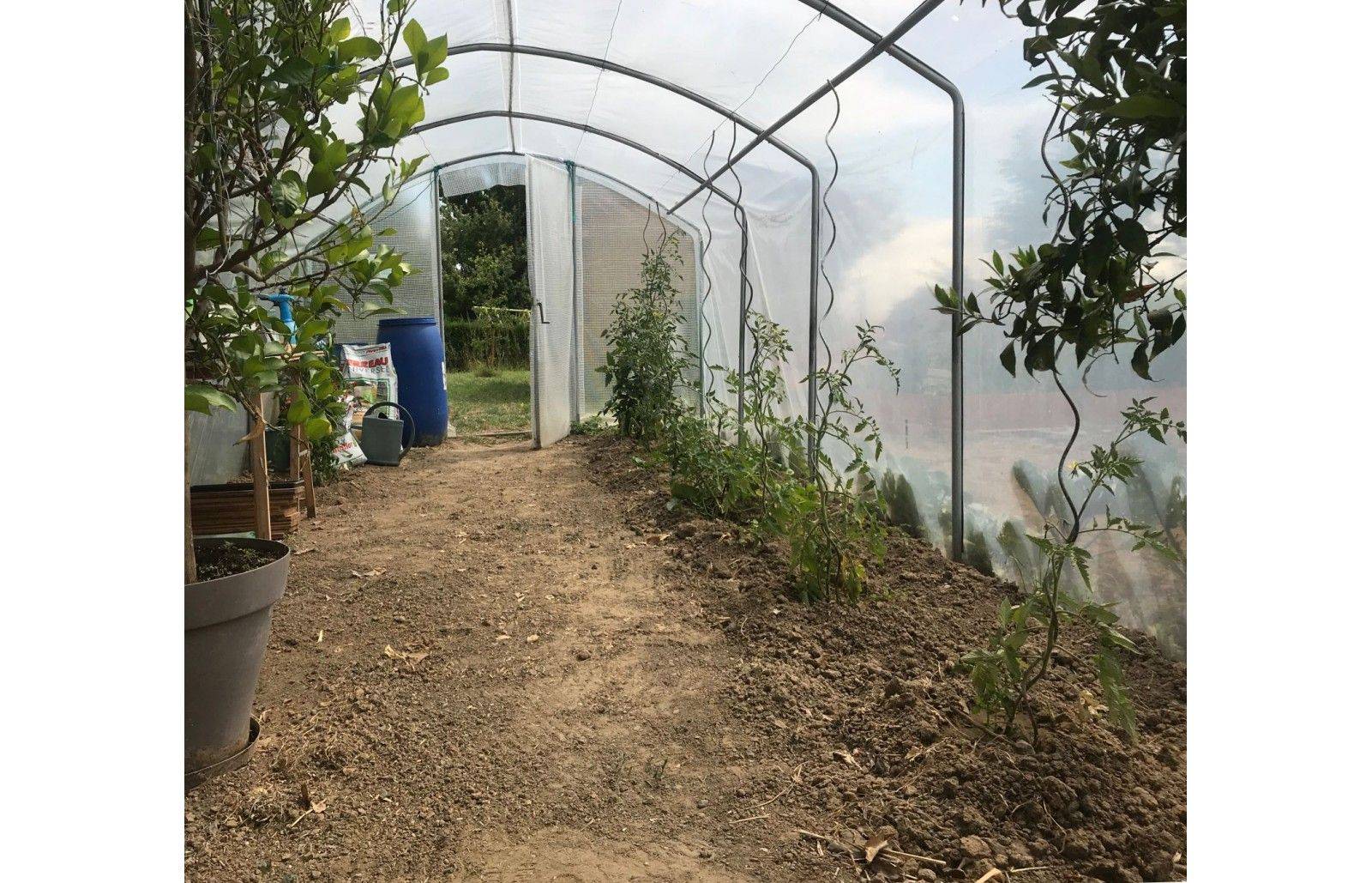 Serre tunnel de jardin - 22m² - 3 x 7,5 m - pieds droits - aérations latérales - 4 saisons - LES SERRES TONNEAU - Image 9