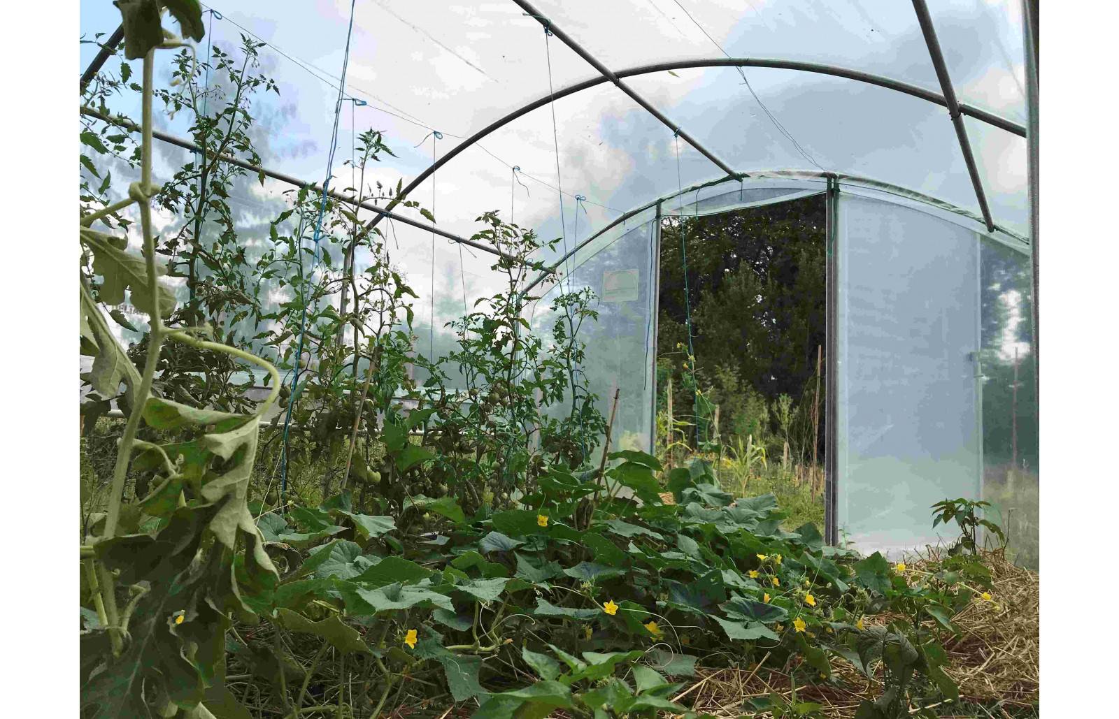 Serre tunnel de jardin - 22m² - 3 x 7,5 m - pieds droits - aérations latérales - 4 saisons - LES SERRES TONNEAU - Image 10