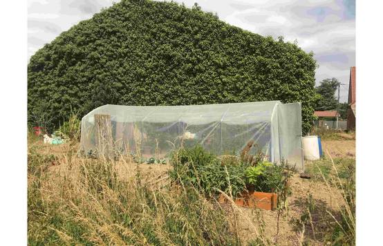 Serre tunnel de jardin - 22m² - 3 x 7,5 m - pieds droits - aérations latérales - 4 saisons - LES SERRES TONNEAU - Image 5