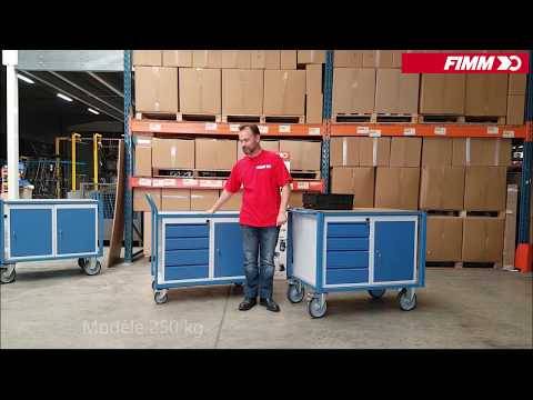Servante d'atelier équipée 2 blocs tiroirs 500 kg - FIMM - 880009548 - Imagen 2