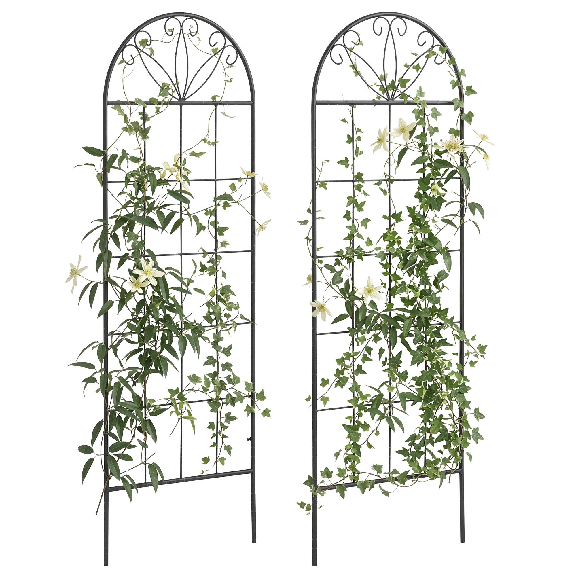 Treillis de jardin lot de 2 acier noir 51 x 1.1 x 152 cm - PANGIVO