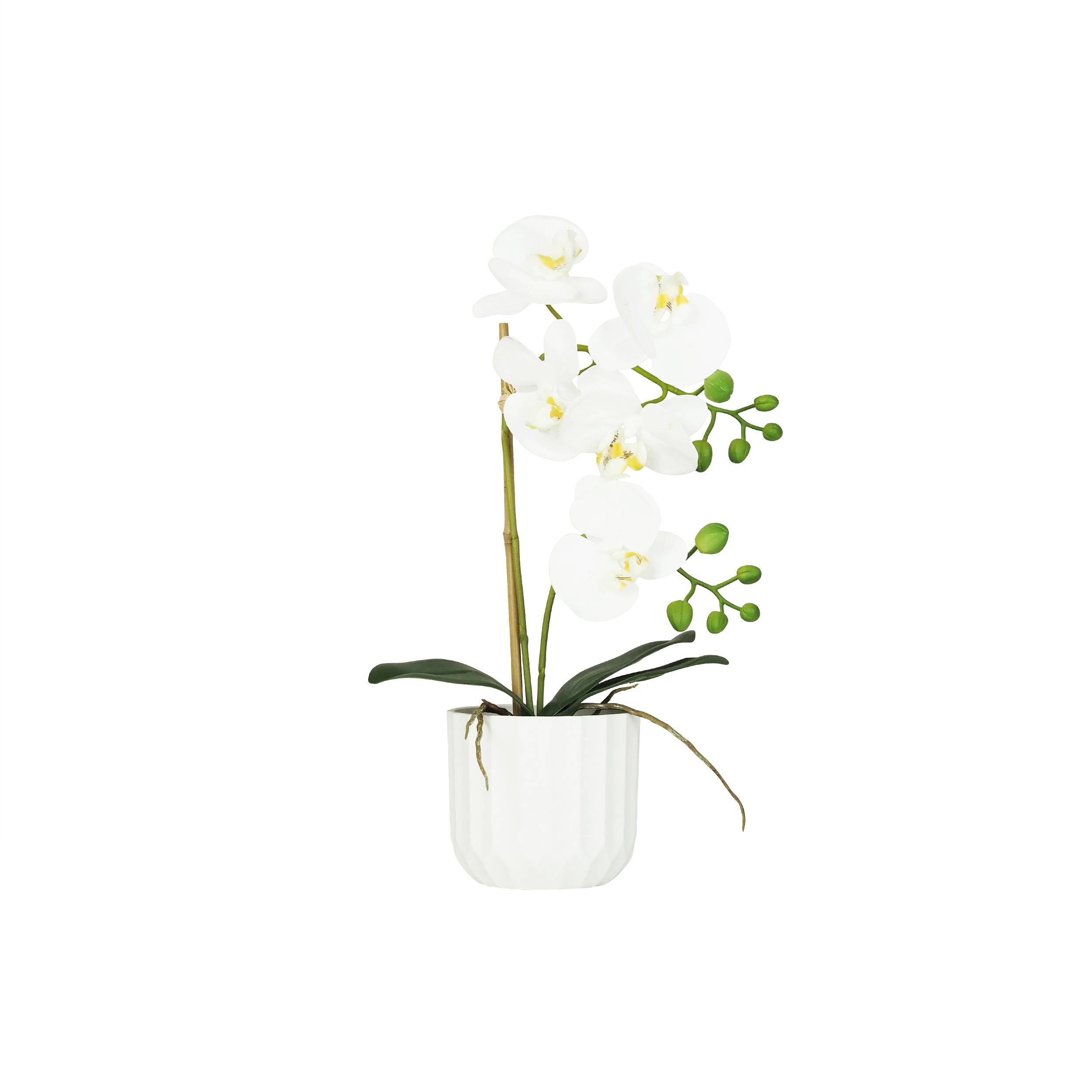 Ligne Deco - Orchidée artificielle toucher naturel 40cm Ligne Déco - Image 2