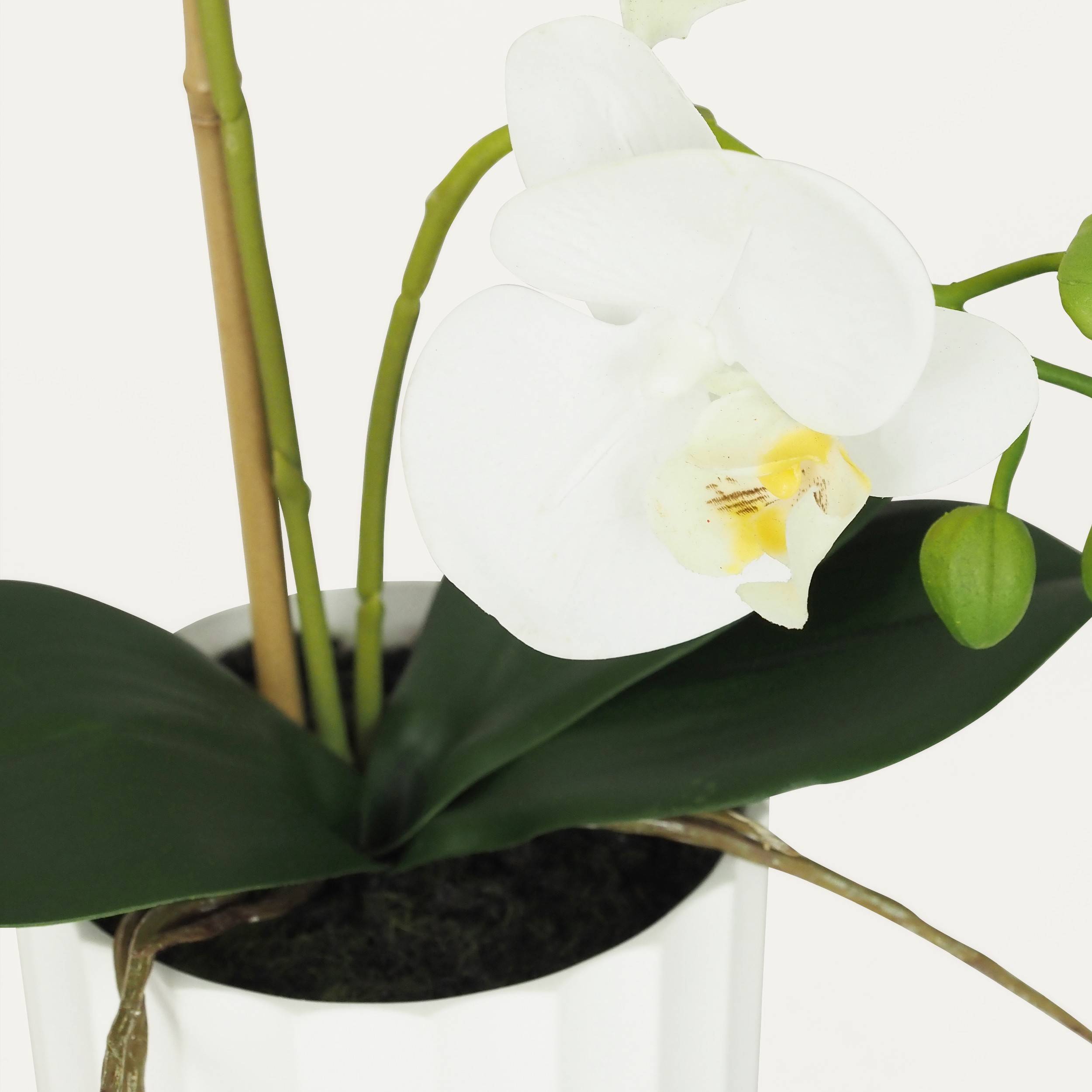 Ligne Deco - Orchidée artificielle toucher naturel 40cm Ligne Déco - Image 3