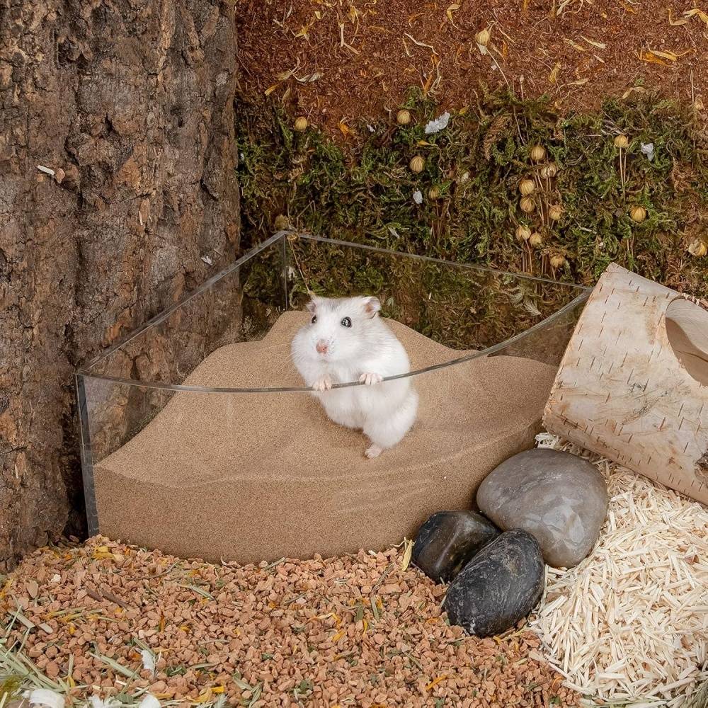 DtopbuyAge - Sable de bain sans poussière pour hamsters DtopbuyAge - Image 4