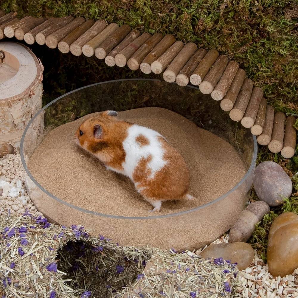 DtopbuyAge - Sable de bain sans poussière pour hamsters DtopbuyAge - Image 5