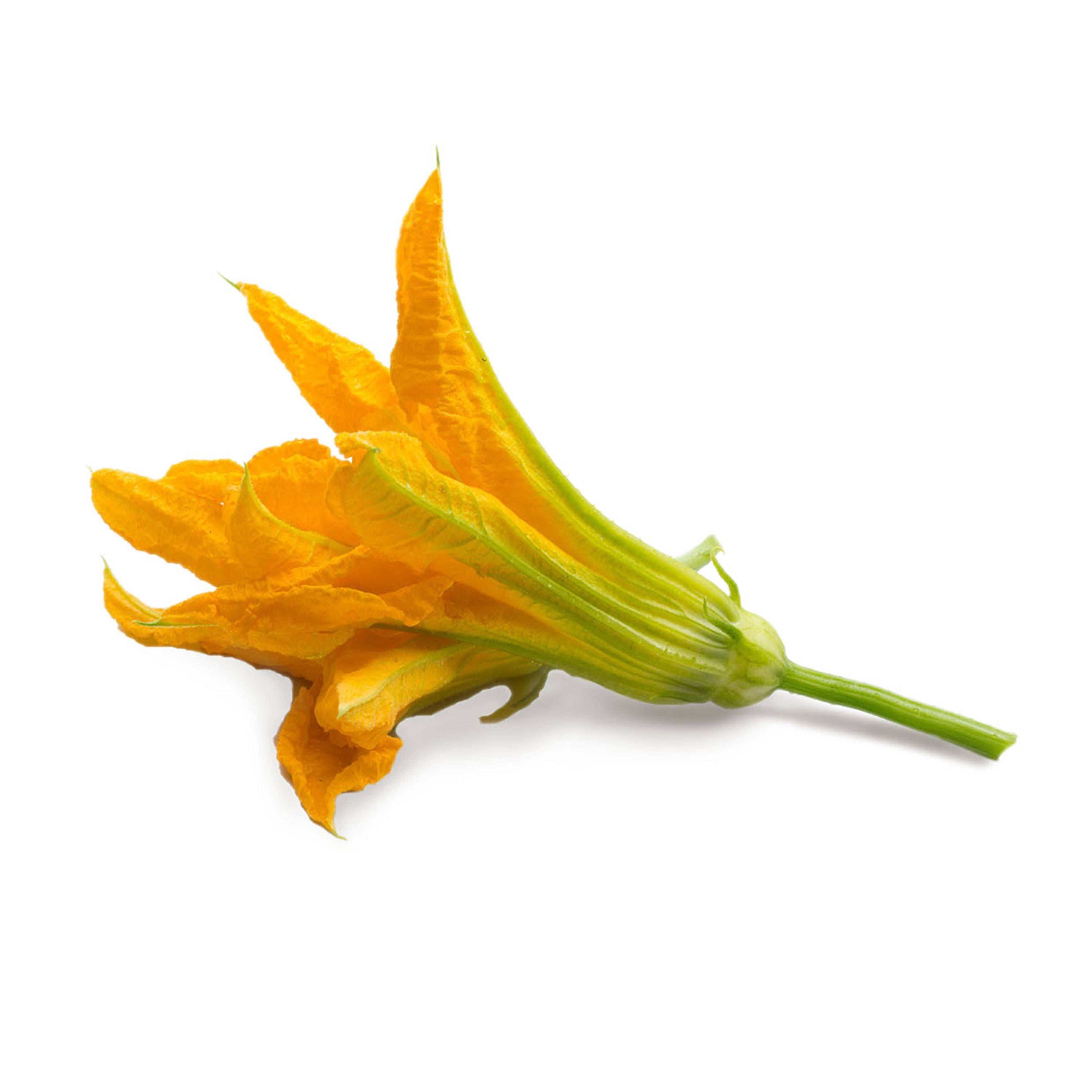 Veritable - Lingot Fleur de Courgette BIO - Recharge prête à l'emploi - Véritable - Imagen 2