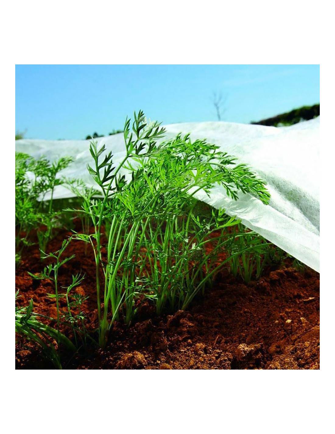 Biotop - Tissu Protection Cultures Biotop Protection Polyvalente Pour Semis Et Légumes - Biotop