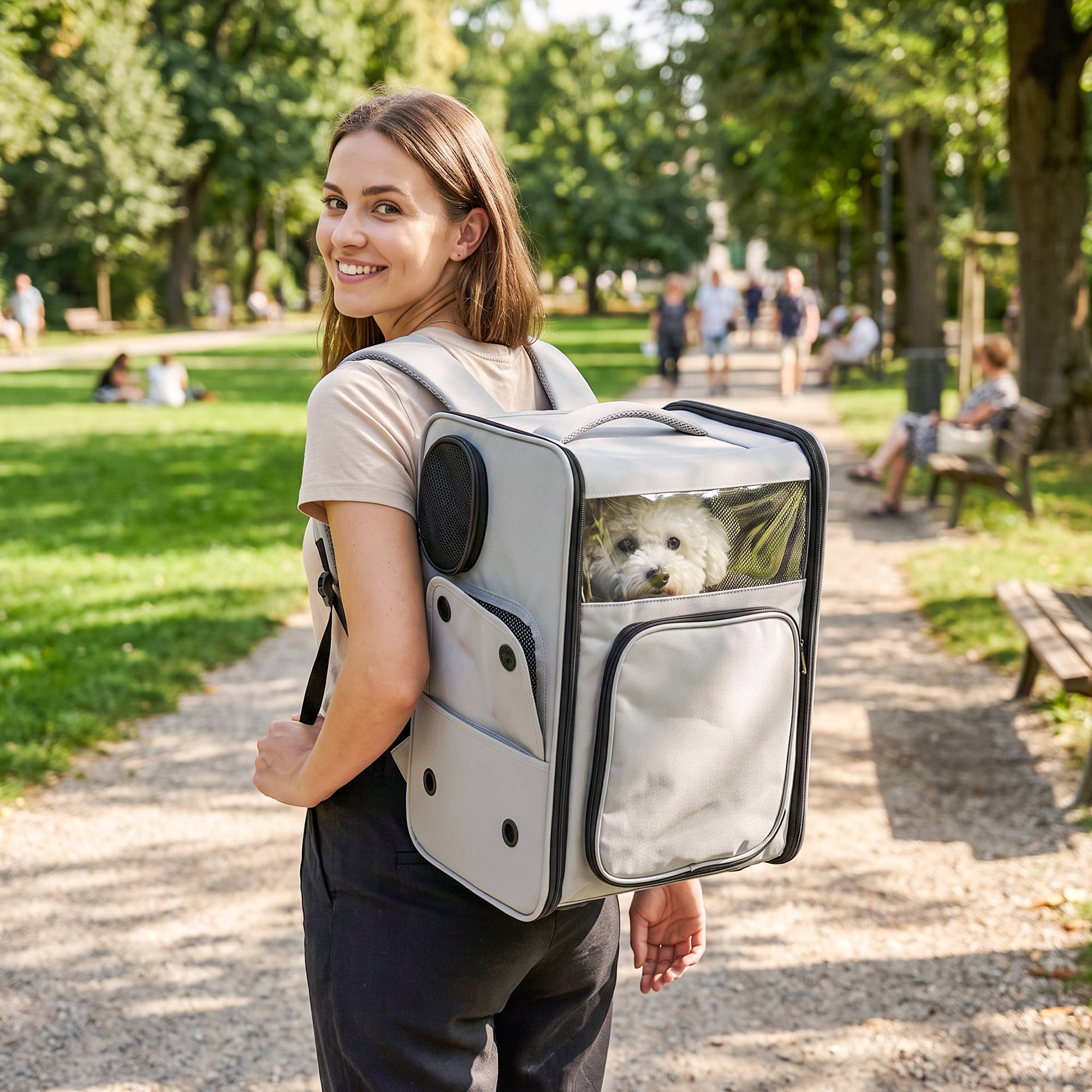Sans Marque - Sac Transport Chat 2en1 Roulettes Pliable Extensible Ventilé Soutien Lombaire 34x28x43cm Gris - Image 4