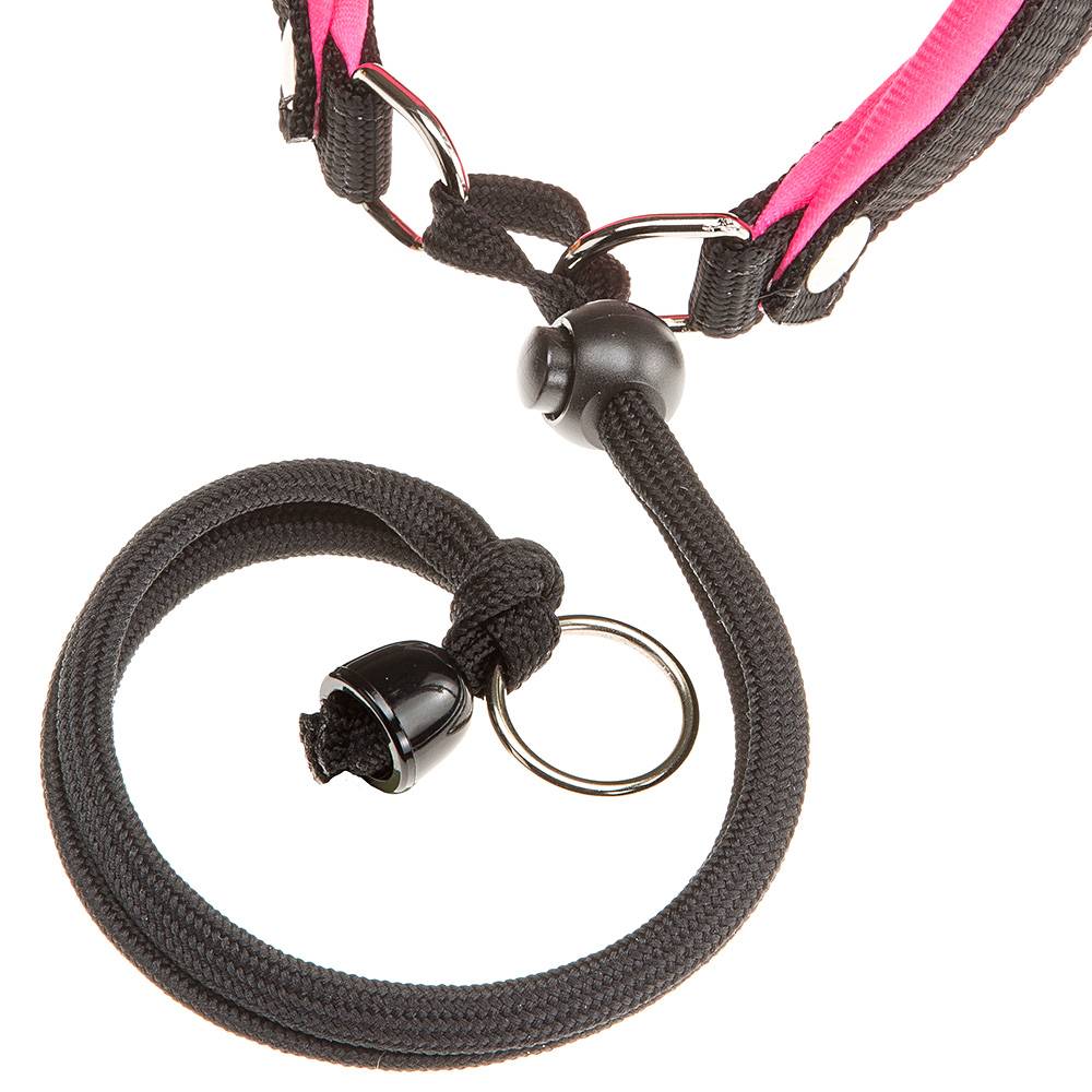 Ferplast - Ferplast Harnais ergonomique pour chiens AGILA FLUO 1, ajustement parfait, fermeture pratique avec lacet, rembourrage souple, A=B 32÷38 cm 15 mm - Imagen 6