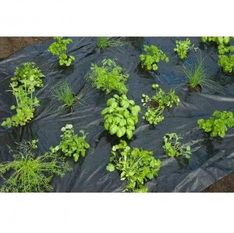 Nature - Film de paillage HERBES AROMATIQUES - Image 1