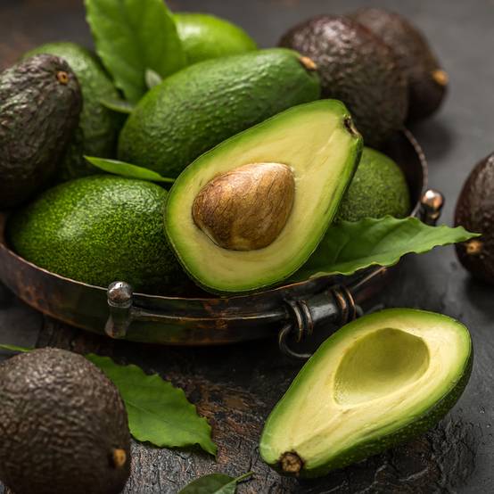 Persea americana Hass - Avocatier Pot de 6L/7L