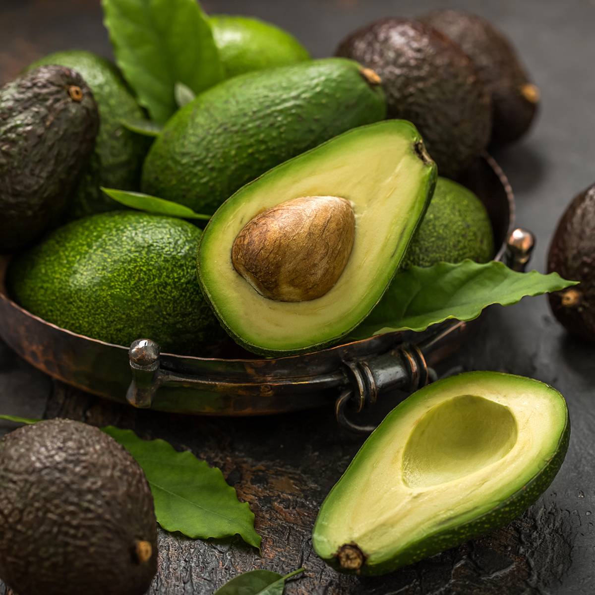 Persea americana Hass - Avocatier Pot de 6L/7L