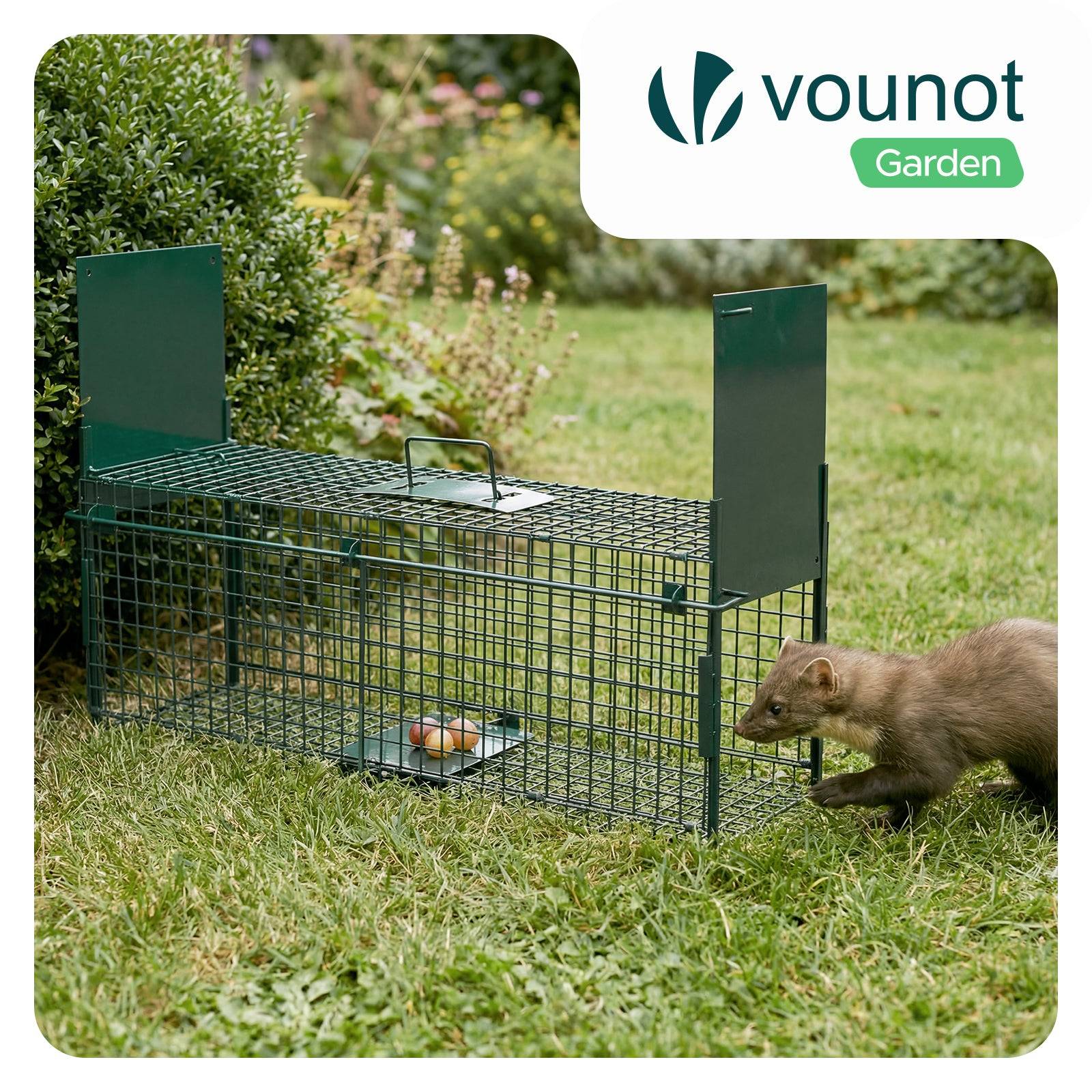 Piege pour animaux vivants cage trappe en metal 80x26x34cm vert - Image 2