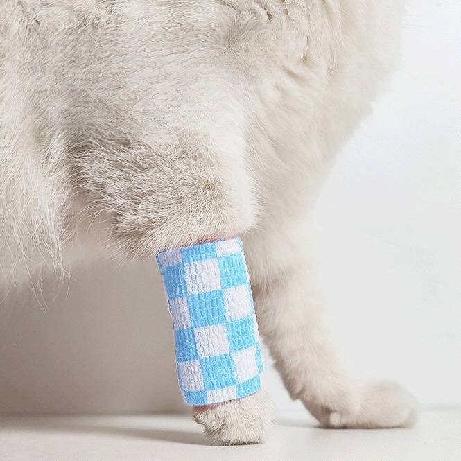 Bandage adhésive anti - salissure pour chien DtopbuyAge - Image 2