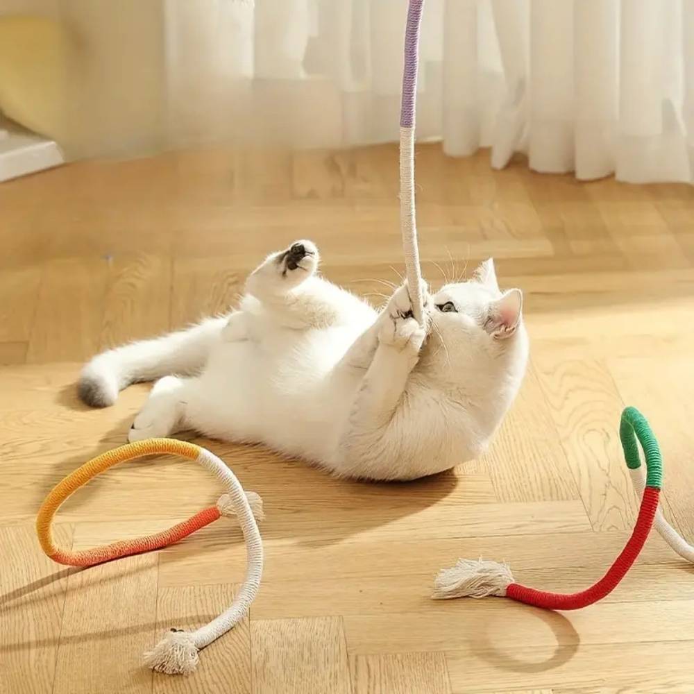IntiMeg - Jouet pour chat Corde de dentition IntiMeg - Image 3