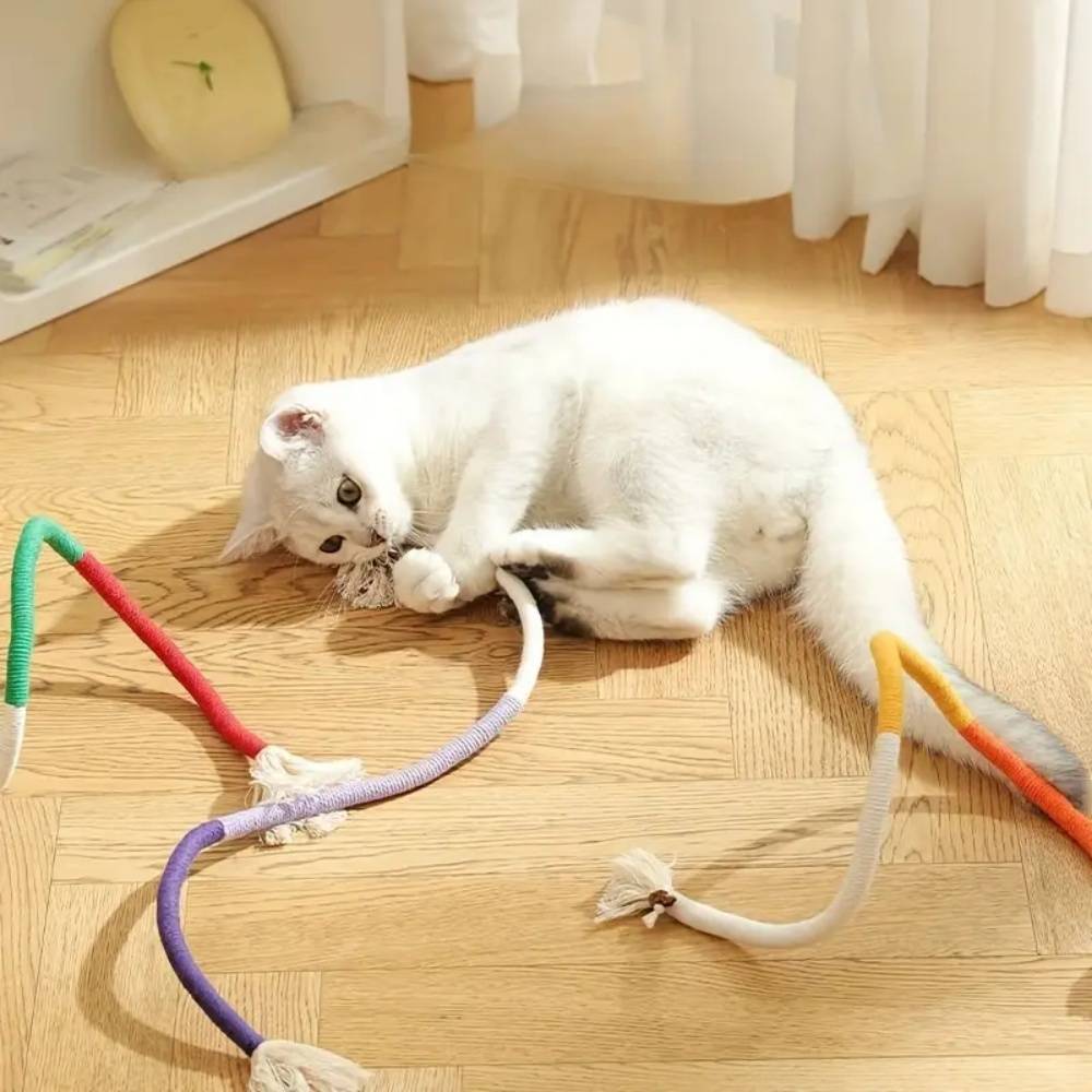 IntiMeg - Jouet pour chat Corde de dentition IntiMeg - Image 4