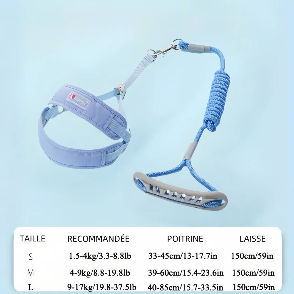 Laisse et gilet de harnais pour chien m - IntiMeg - Image 2