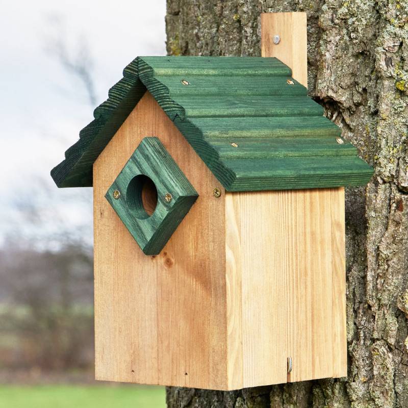 Mangeoire oiseaux extérieur à suspendre pour oiseaux sauvages en bois massif toit vert - Image 1