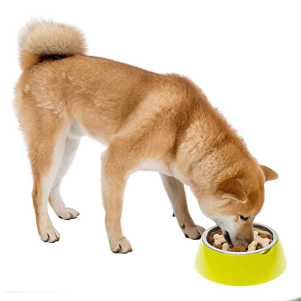 Ferplast - Ferplast Gamelle pour chien Gamelle pour chat Jolie - Gamelles pour eau et nourriture en acier inoxydable avec support en plastique, antidérapant, - Imagen 2