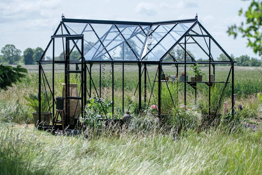 Halls - Serre en verre trempé 8,6 m² ICON Gardenhouse 6, noir - Halls - Image 3