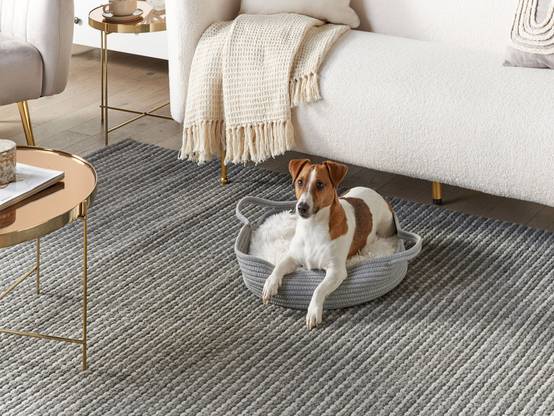 Beliani - Lit pour animal Coton Gris DALAMAN - 45x45x10- Beliani - Image 1