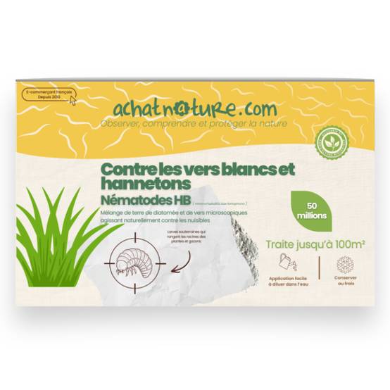 JOHN & CO Nématodes HB 5M Anti Vers Blancs, Larves des Hannetons et d' Otiorhynques – 10m² – Lutte Biologique et Naturelle – Action Durable JOHN & CO Nématodes HB 5M Anti Vers Blancs, Larves des Hannetons et d' Otiorhynques – 10m² – Lutte Biologique et Naturelle – Action Durable