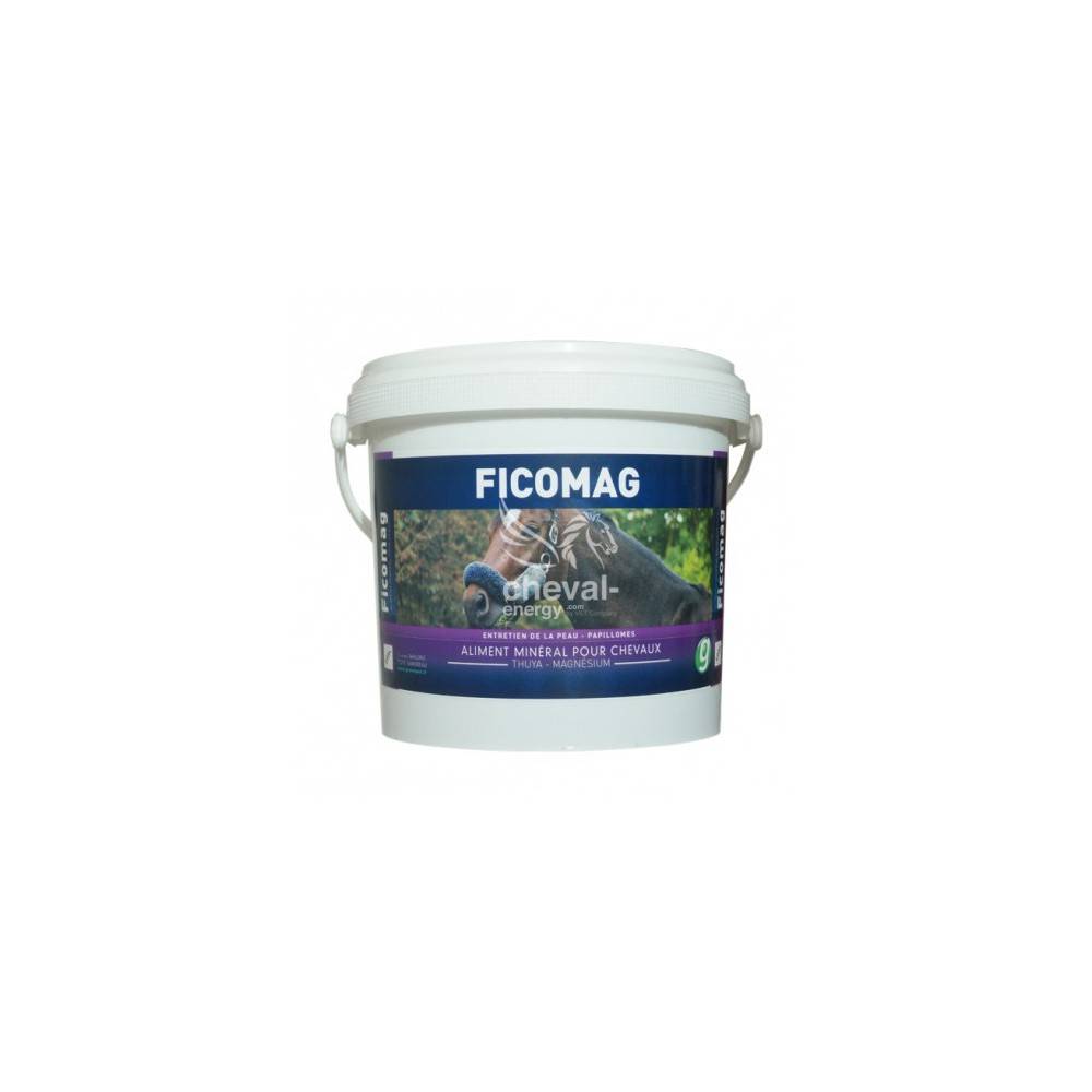 FICOMAG -  GREEN PEX 1,3 kg