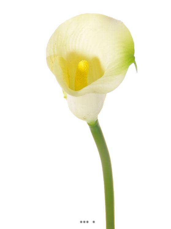 Artificielles - Arum calla Zantedeschia artificiel H 55 cm Crème vert - couleur: Crème vert