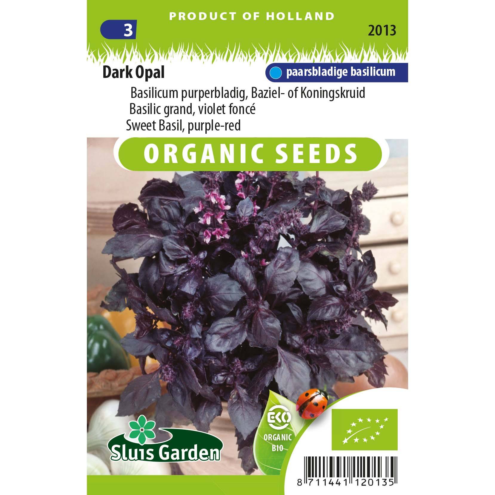 Basilic pourpre Dark Opal Bio - Ocimum basilicum le sachet de 250 graines environ (0,5g)