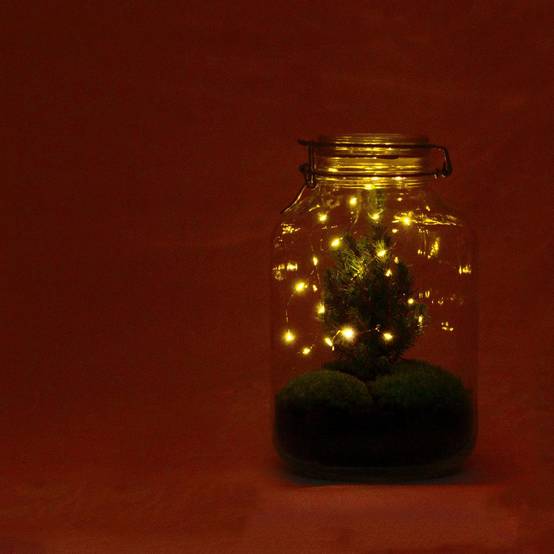 Diy Terrarium - H28cm - Image 2
