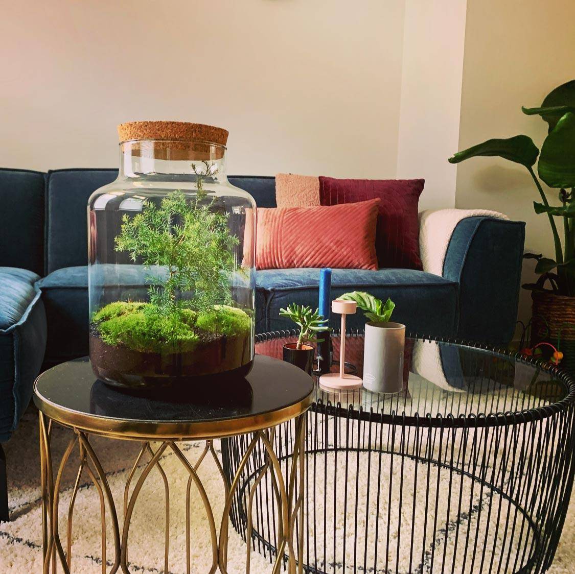 Diy Terrarium - H28cm - Image 4