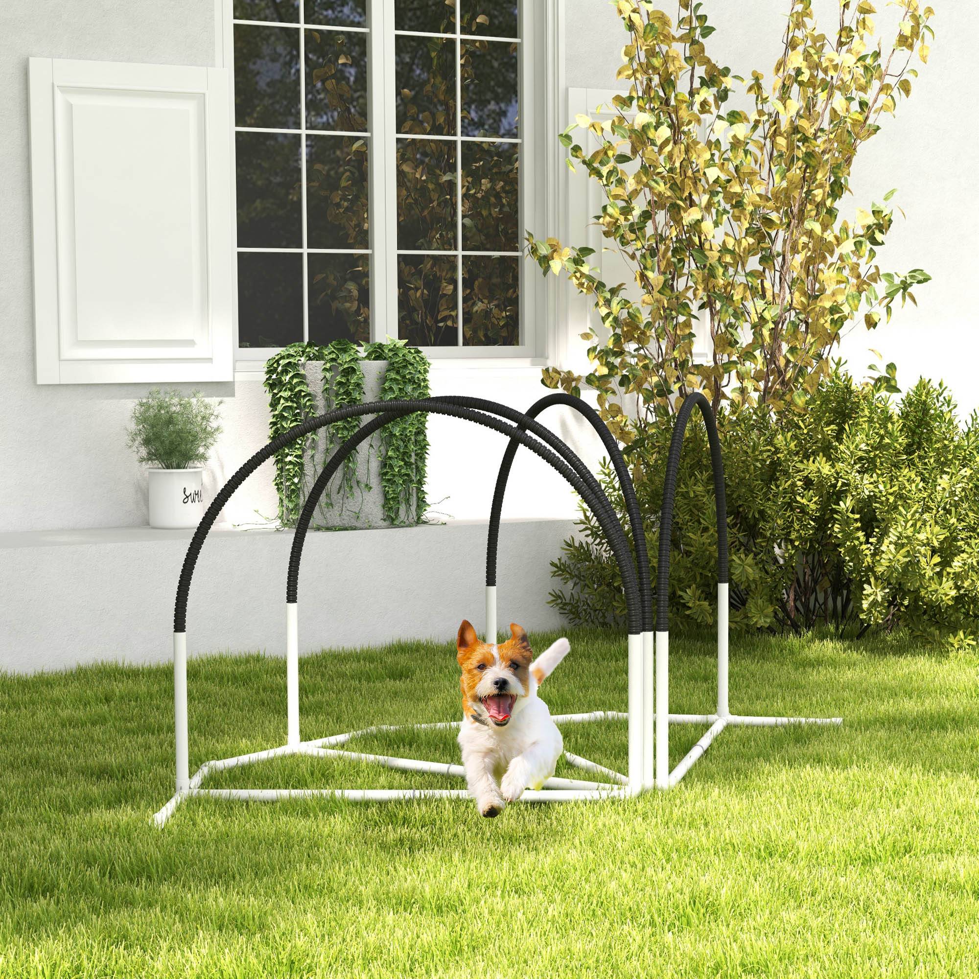 Kit d'agilité pour chien plastique blanc et noir 89 x 69 x 99 cm - PANGIVO - Image 3