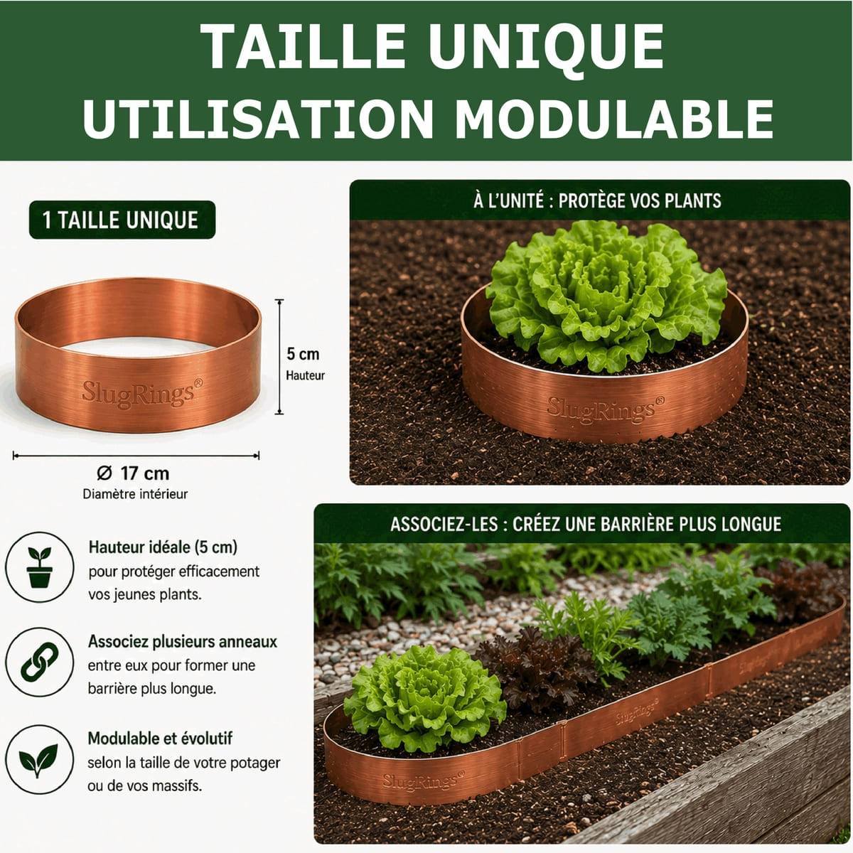 Tout pour les nuisibles - Anneau de Cuivre Anti-Limaces et Escargots SOLU'LIMACES – Ø17 cm - Protection des Salades, Fraisiers, Aromatiques, Potager et Fleurs - Image 4