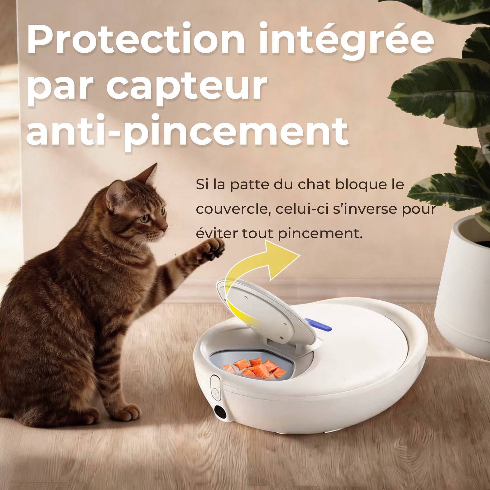 Sans Marque - Robotail F20 Distributeur Automatique Réfrigéré pour Chats, 4 Compartiments, Double Température - Image 8