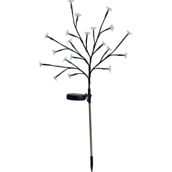 Arbuste a fleurs solaire - GALIX - G4505 - H72 - Image 2