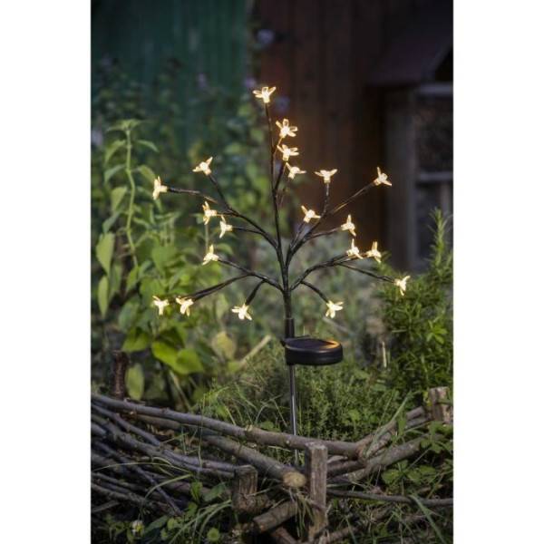 Arbuste a fleurs solaire - GALIX - G4505 - H72 - Image 1