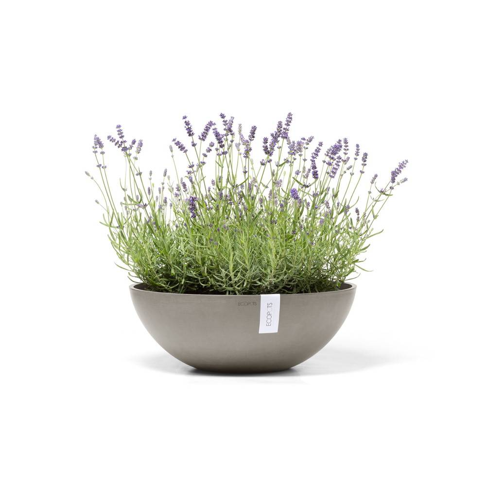 Ecopots - Pot Rond Vienna 50 Taupe - Ø 50 x H. 18 cm - 22,3 L ECOPOTS - Imagen 2