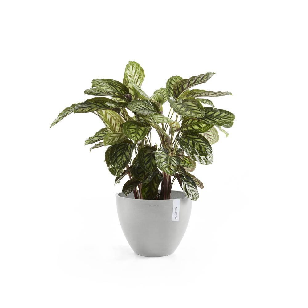 Ecopots - Pot Rond Antwerp 50 New Blanc Gris - Ø 50 x H. 37,5 cm - 52 L ECOPOTS - Imagen 1
