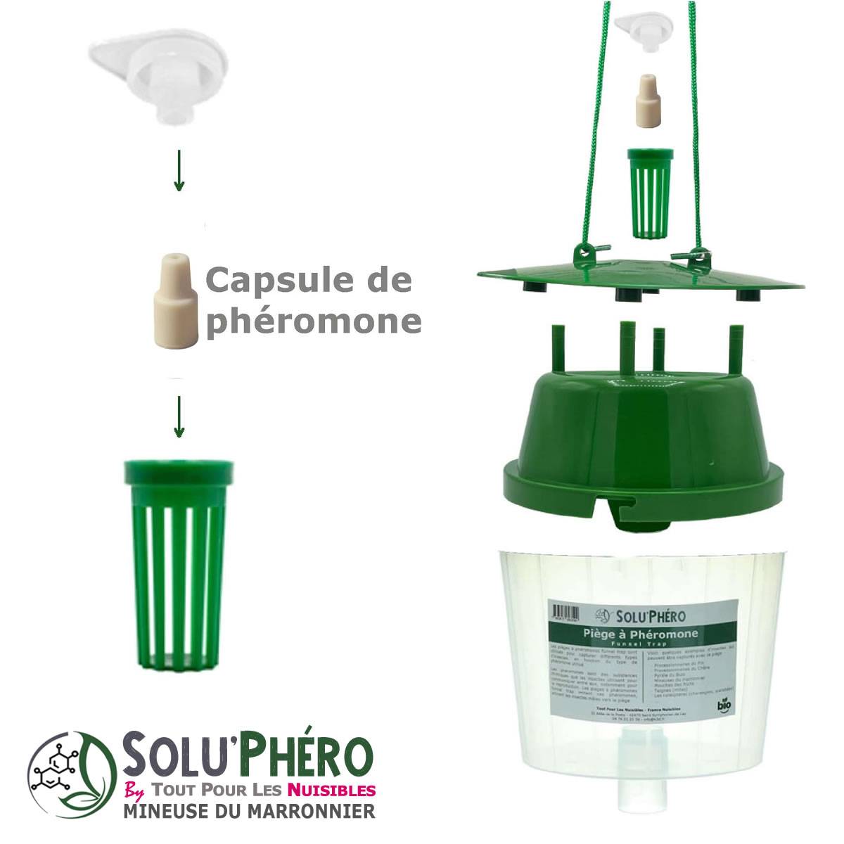 SOLUPHERO - Kit 1 Piège Funnel + 6 Phéromones Mineuse Marronnier Bio - Efficacité par Capsule de 4 à 6 Semaines - Phéromone de Contrôle - Imagen 4