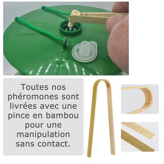 SOLUPHERO - Kit 1 Piège Funnel + 6 Phéromones Mineuse Marronnier Bio - Efficacité par Capsule de 4 à 6 Semaines - Phéromone de Contrôle - Image 3