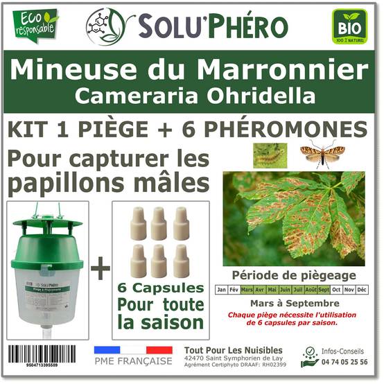 SOLUPHERO - Kit 1 Piège Funnel + 6 Phéromones Mineuse Marronnier Bio - Efficacité par Capsule de 4 à 6 Semaines - Phéromone de Contrôle - Image 1