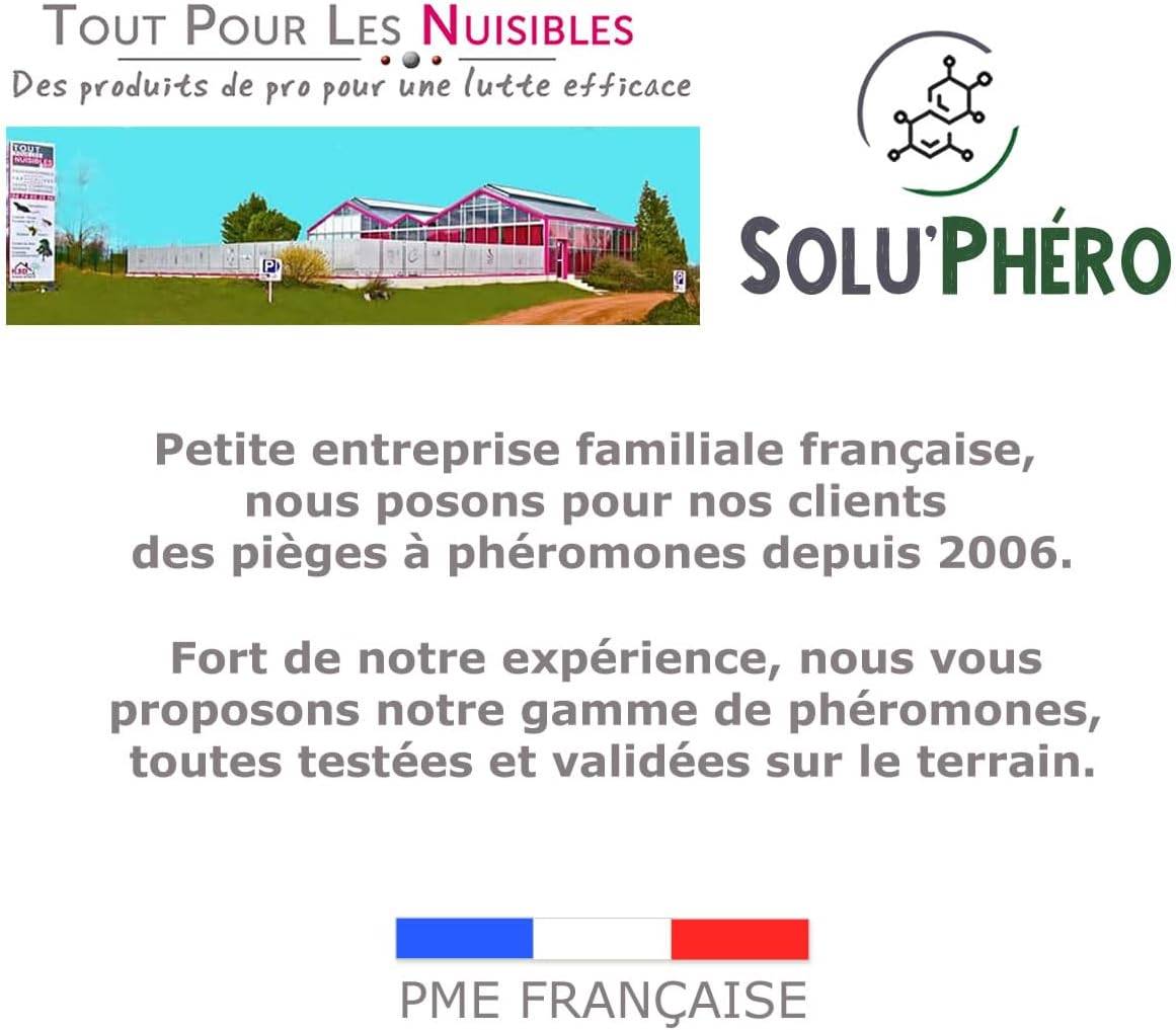 SOLUPHERO - Kit 1 Piège Funnel + 6 Phéromones Mineuse Marronnier Bio - Efficacité par Capsule de 4 à 6 Semaines - Phéromone de Contrôle - Imagen 6