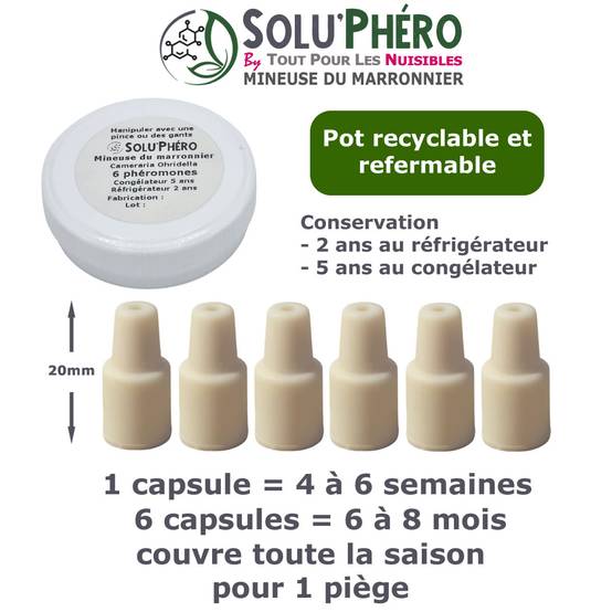 SOLUPHERO - Kit 1 Piège Funnel + 6 Phéromones Mineuse Marronnier Bio - Efficacité par Capsule de 4 à 6 Semaines - Phéromone de Contrôle - Image 5