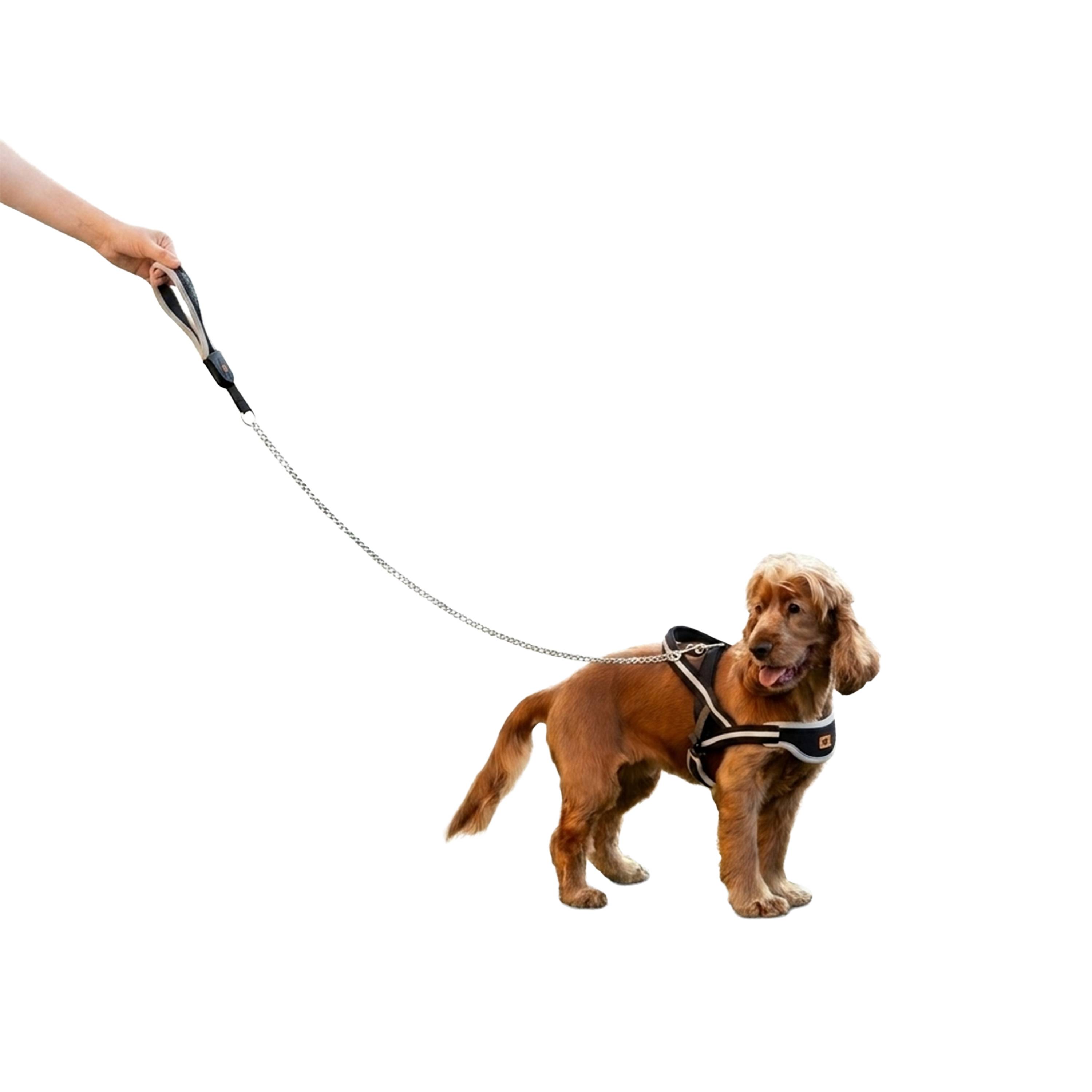 Ferplast - Laisse pour chien en métal anti-morsure Ferplast ERGOCOMFORT METAL, Poignée ergonomique, Rembourrage doux, Longueur 105 cm. - Imagen 4