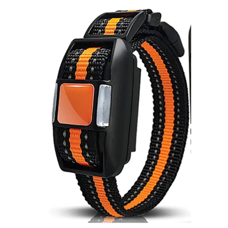Autre - Collier de dressage supplémentaire - 500m - IP67 - Rechargeable