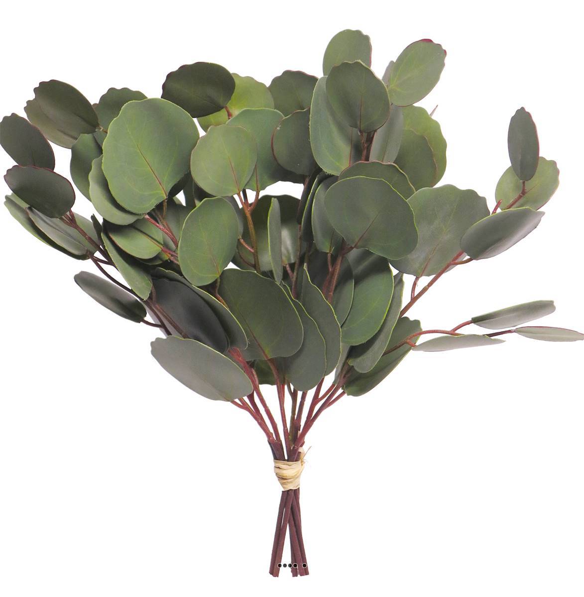 Buisson de branches d&rsquo;eucalyptus artificielles, H 30 cm - BEST - Image 3