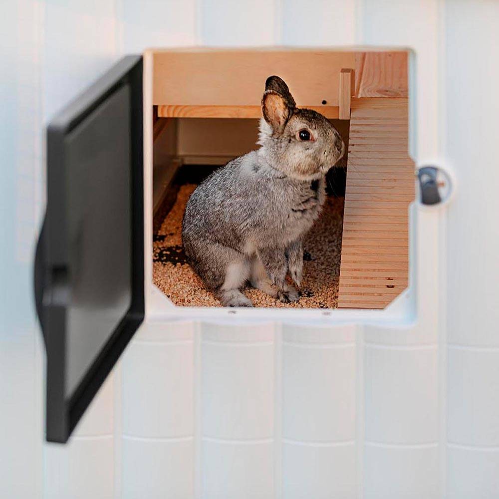 Ferplast - Ferplast Cage Lapin GRAND LODGE 120, Clapier Lapin Extérieur 2 Étages, Lapins, Cobayes, Enclos Lapin, Animaux Domestiques, avec Maisonnette et - Imagen 8